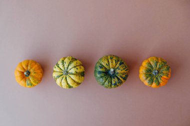 Açık kahverengi arka planda renkli balkabakları, üst manzara, düz yatış. Arka planda kal. Uzayı kopyala Cadılar Bayramı ya da Şükran Günü.