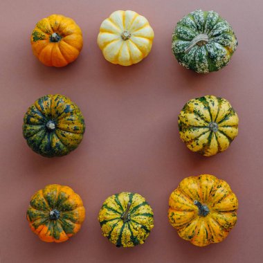 Açık kahverengi arka planda renkli balkabakları, üst manzara, düz yatış. Arka planda kal. Uzayı kopyala Cadılar Bayramı ya da Şükran Günü.