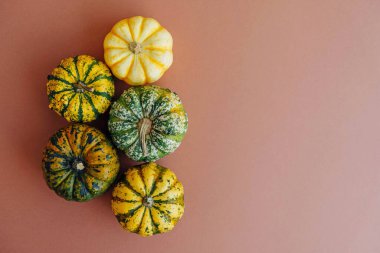 Açık kahverengi arka planda renkli balkabakları, üst manzara, düz yatış. Arka planda kal. Uzayı kopyala Cadılar Bayramı ya da Şükran Günü.