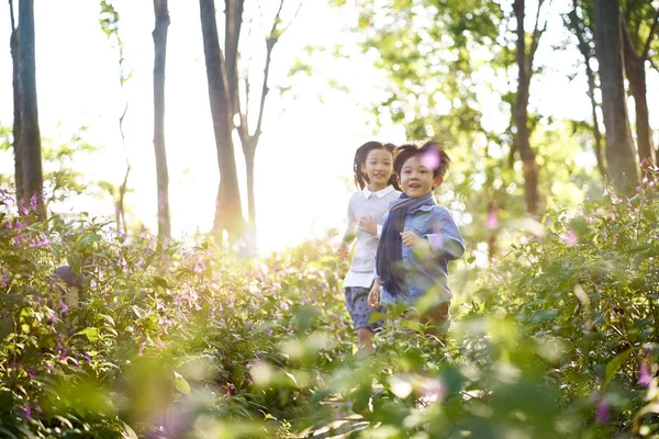 Deux Petits Asiatiques Enfants Garçon Fille Courir Travers Champ Fleurs — Photo