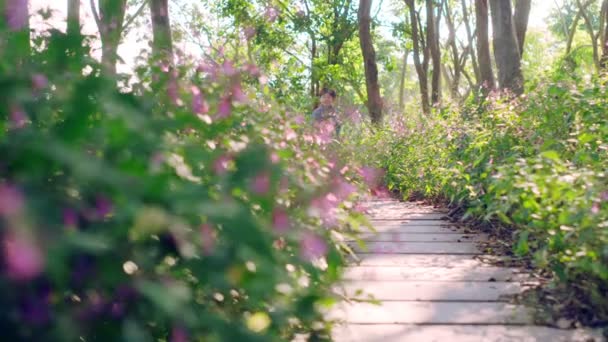 公園の花の花を通って旗石の道を走る7歳のかわいいアジアの少年 — ストック動画