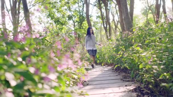 Річна Маленька Азіатська Дівчинка Йде Флагштоку Через Квіткове Поле Парку — стокове відео