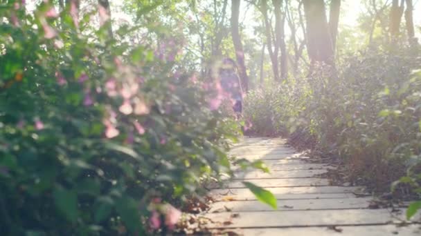 Años Edad Hermosa Niña Asiática Corriendo Camino Losa Través Flores — Vídeo de stock