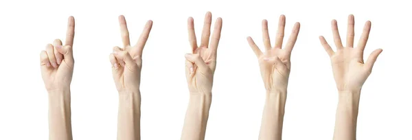 Mãos humanas mostrando números de um a cinco — Fotografia de Stock