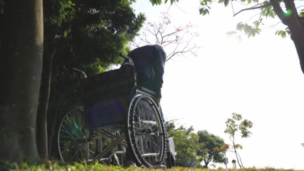 在公园里 亚洲老人从轮椅上站起来 伸出双臂 — 图库视频影像