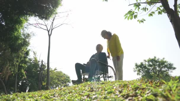 Aziatische Senior Paar Vrouw Rolstoel Gebonden Man Praten Ontspannen Buiten — Stockvideo