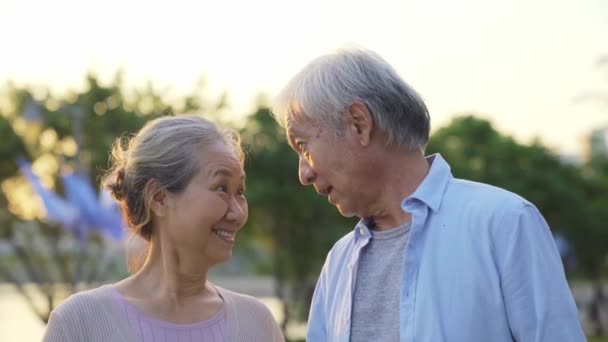 Amando Velho Asiático Casal Andando Falando Livre Parque — Vídeo de Stock