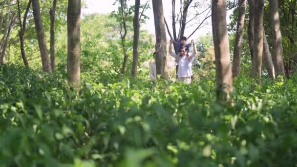 Young Asian Couple Son Having Fun Enjoying Nature Walking Green — Stock Video