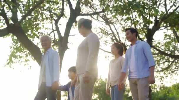 Tres Generación Asiático Familia Caminar Hablando Relajante Aire Libre Parque — Vídeos de Stock