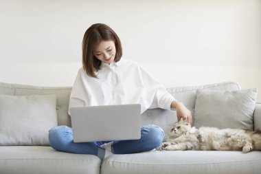 Genç Asyalı iş kadını evcil kediyi okşarken dizüstü bilgisayar kullanıyor.