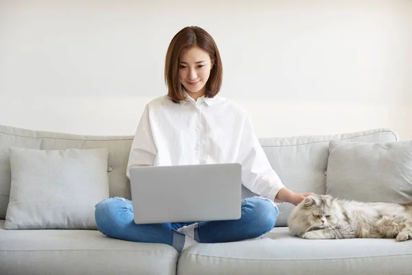 ペット猫の世話をしながらノートパソコンを使って自宅で働く若いアジア系ビジネス女性 — ストック写真