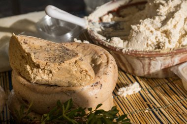 Traditional Sardinian cheese with worms. Banned and illegal cheese with flies and worms inside. clipart