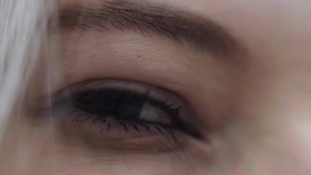 Bir Kız Makro Gözleri — Stok video