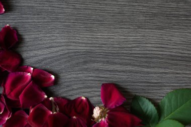 Solmuş Gül ve yaprakları ileti için negatif alan ahşap bir zemin üzerine düz lay