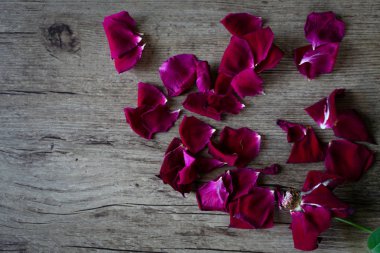 Düz bir eski gül yaprakları bir ileti için negatif alan ahşap bir zemin üzerine bağsız yatıyordu