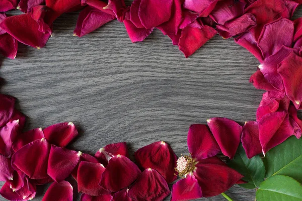 Shoot from above of a withered rose and petals making a circle and leaving a negative space for message