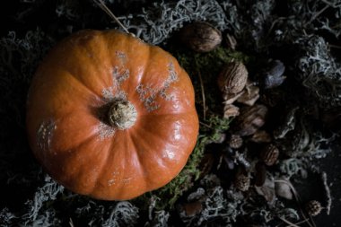 Balkabağına moss doğal zemin üzerine döşeme kullanarak bir natürmort, düz yatıyordu