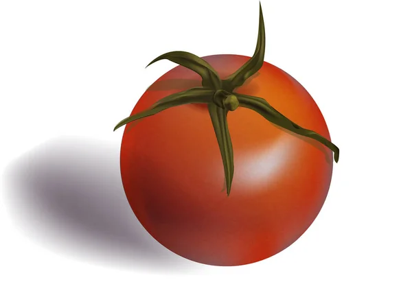 Tomate Comida Ecológica — Vector de stock