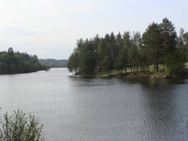  Orman ve alan arasında akan nehir   