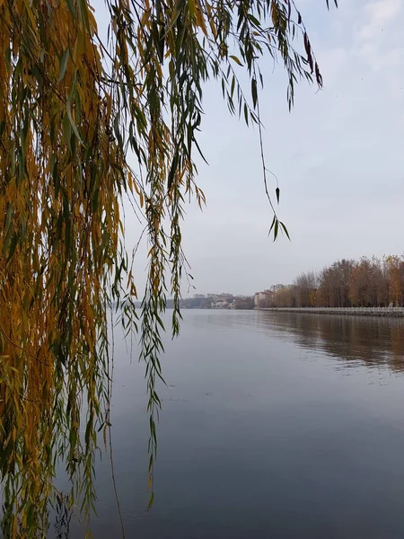 Río Terraplén Parque — Foto de Stock