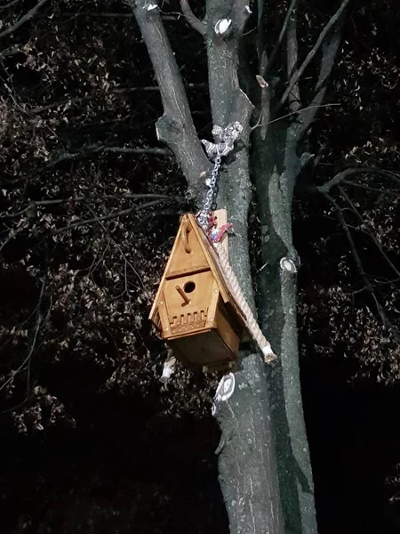 Vogelhaus Auf Einem Baum — Stockfoto