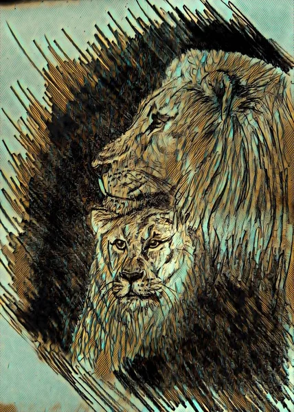Λιοντάρι Και Λέαινα Μαζί — Φωτογραφία Αρχείου