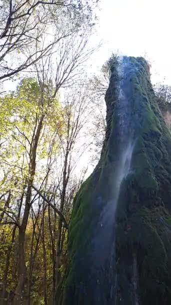 Woda Spada Falls — Wideo stockowe