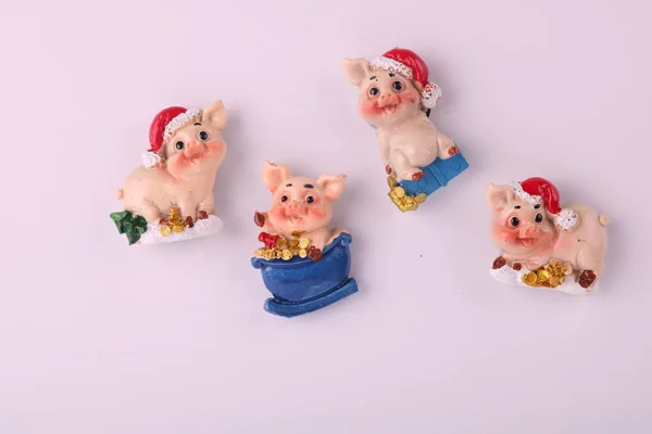 Schwein Symbol Des Neuen Jahres — Stockfoto