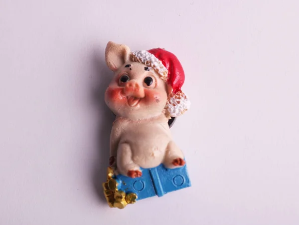 Schwein Symbol Des Neuen Jahres — Stockfoto