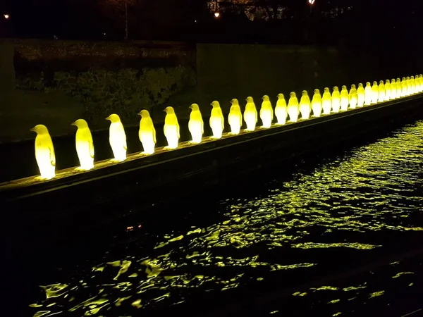 parlayan penguenler bir satır