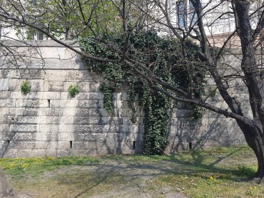 Duvardaki dokuma tesisi