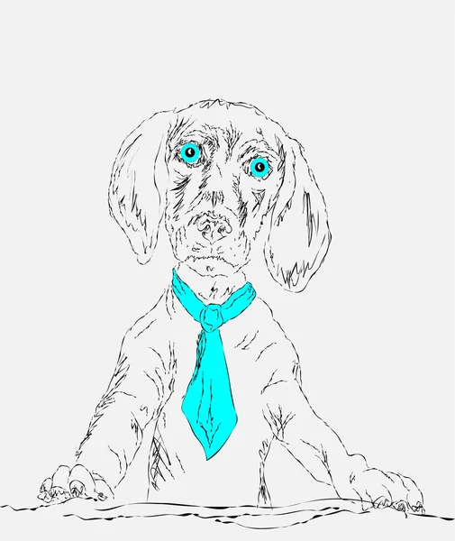 Chiot Avec Les Yeux Turquoise Dans Une Cravate — Image vectorielle