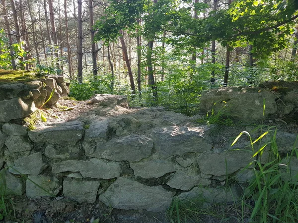 Wald Und Stein Zerstörten Zaun — Stockfoto