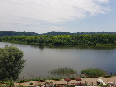 ağaçlar ile nehir ve banka