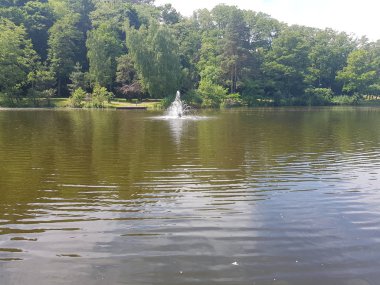 Mezhyhirya bir göl ile park