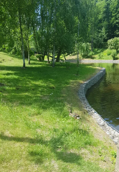 Park Med Sjö Mezhyhirya — Stockfoto