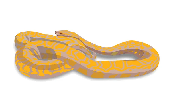 Gele Python Een Witte Achtergrond Vector — Stockvector