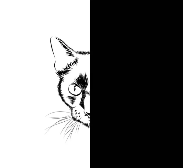 Silueta Gato Boceto Blanco Negro — Vector de stock