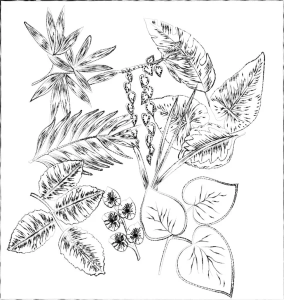 black and white floral background