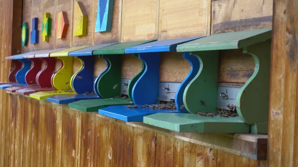 Arı kovanı için uçan