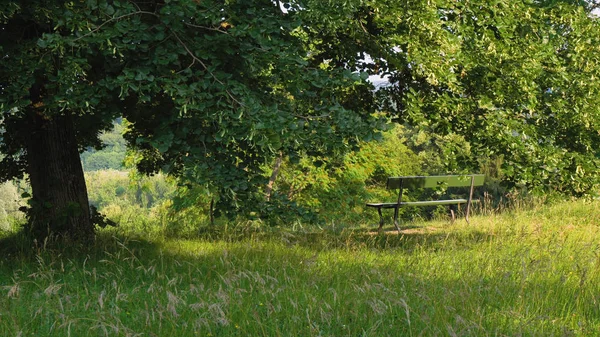 Romantik tezgah ve eski ağaç