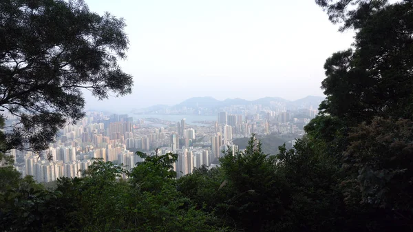 Yukarıda da görüleceği doğa ile Hong Kong şehir manzarası