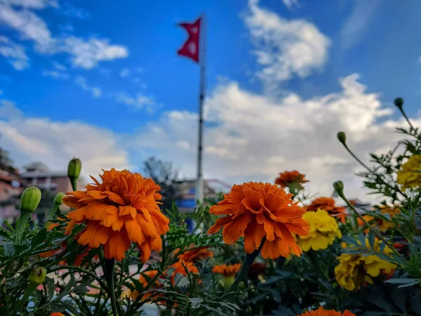 Bandera Borrosa Nepal Del Jardín — Foto de Stock