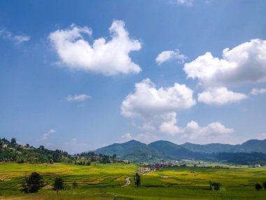 Manzara nefes kesici tarım arazileri