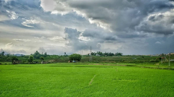 Terras Agrícolas Verdes Nepal — Fotografia de Stock