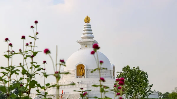 Világ Béke Pagoda Lumbini Nepál — Stock Fotó