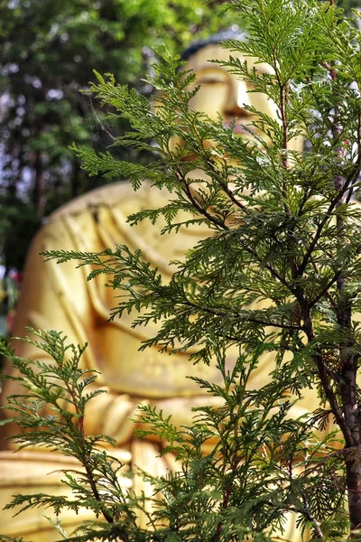 Estatua Oro Gigante Buda — Foto de Stock