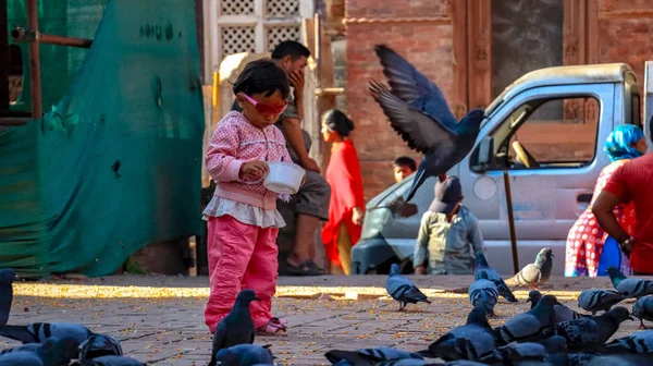 Palomas Lactantes Kathmandu Durbar Square —  Fotos de Stock