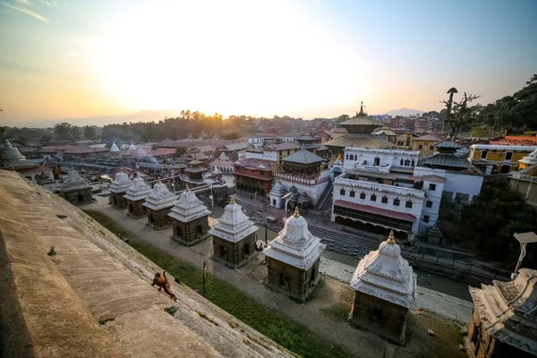 Святий Храм Pashupatinath Катманду Непал — стокове фото