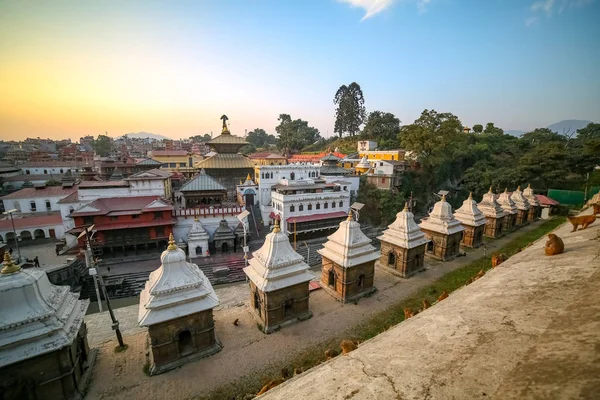 Святий Храм Pashupatinath Катманду Непал — стокове фото